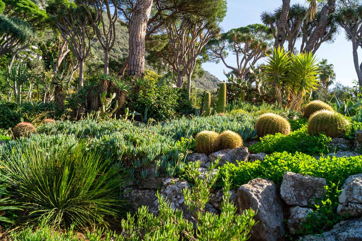 Botanic Garden
