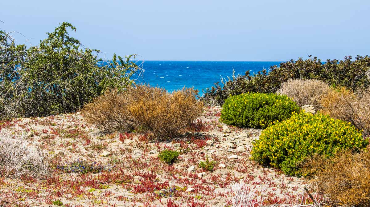 South Rhodes